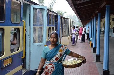 Nilgiri-Blue-Mountain-Train, Mettupalayam - Coonoor_DSC5340_H600